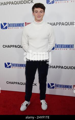 Dylan Summerall at 'Chappaquiddick' Los Angeles Premiere held at the Academy of Motion Picture Arts and Sciences on March 28, 2018 in Beverly Hills Stock Photo