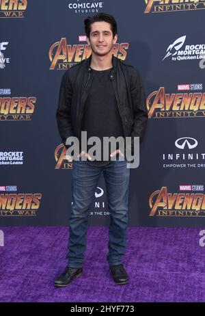 Wesam Keesh attending the world premiere of Avengers: Infinity War, held at the El Capitan Theatre in Hollywood, California Stock Photo