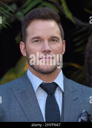 Chris Pratt at the Los Angeles premiere of 'Jurassic World: Fallen Kingdom' held at the Walt Disney Concert Hall on June 12, 2018 in Los Angeles, CA. Stock Photo