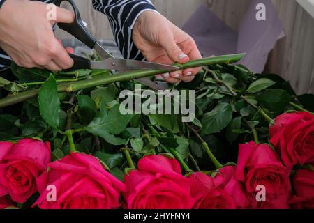 Florist arranging a bouquet from pink roses. Close up florist working cutting roses stem with pruning shears while making composition arrange. Working Stock Photo