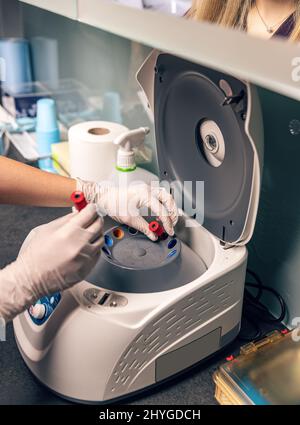 Blood samples tested in the laboratory of the hospital. The doctor conducts research in the lab on the centrifuge. Stock Photo