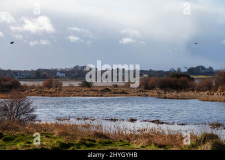 Aberlady Bay Nature Reserve, Scotland Stock Photo