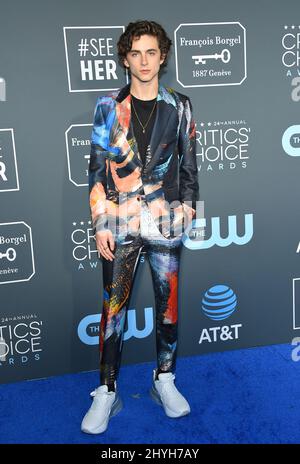 Timothee Chalamet at the 24th Annual Critics' Choice Awards Stock Photo