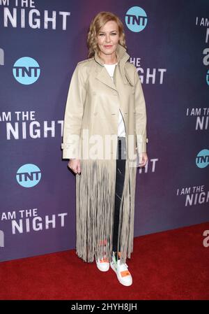 Connie Nielsen at TNT's 'I Am The Night' Los Angeles Premiere held at the Harmony Gold Theater on January 24, 2019 in Hollywood, Ca. Stock Photo