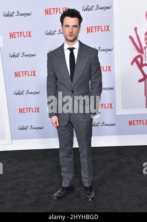 Tom Sturridge arriving to the Netflix premiere of 'Velvet Buzzsaw' at Egyptian Theatre Stock Photo