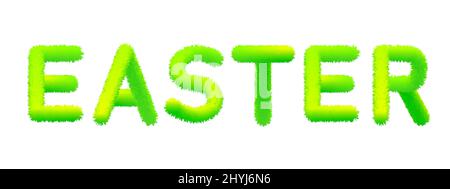 Word Easter made of fur, fluffy decoration. Typography, text, texture, green letters, vector, isolated illustration Stock Vector