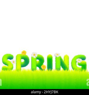 Word Spring made of fur, fluffy flowers daisies, dandelions. Typography, text, texture, green letters, vector, isolated illustration Stock Vector