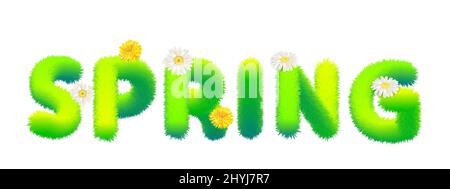 Word Spring made of fur, fluffy decoration, flowers daisey, dandelion. Typography, text, texture, green letters, vector, isolated illustration Stock Vector