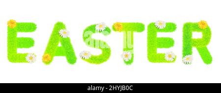 Word Easter made of fur, fluffy decoration, flowers daisey, dandelion. Typography, text, texture, green letters, vector, isolated illustration Stock Vector