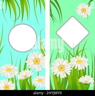 Set spring cards of floral flowers dandelions and daisies, chamomiles, grass backgrounds. Colorful spring vertical banners social media stories Stock Vector