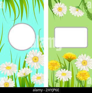 Set spring cards of floral flowers dandelions and daisies, chamomiles, grass backgrounds. Colorful spring vertical banners social media stories Stock Vector