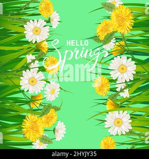 Hello Spring lettering template background with flowers dandelions and daisies, chamomiles, grass. Vector illustration. Fresh design for posters Stock Vector