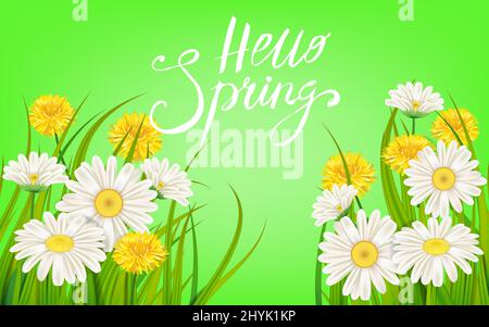 Hello Spring banner. Hand drawn lettering. Background with chamomile, daisy. Spring Time template, flyer, posters, brochure. Happy spring Day Stock Vector