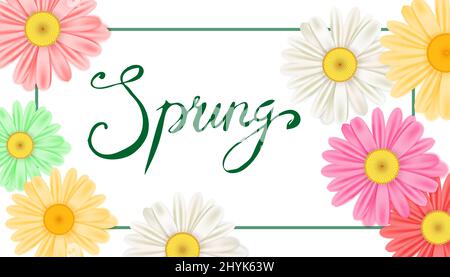 Spring banner. Hand drawn lettering. Background with chamomile, daisy. Spring Time template, flyer, posters, brochure. Happy spring Day. Fashionable Stock Vector