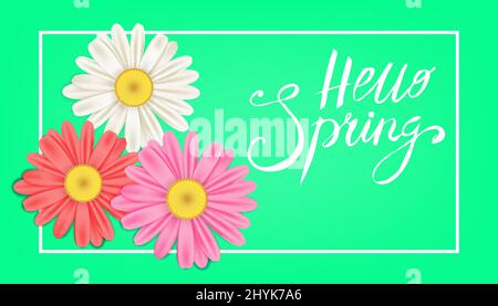 Hello Spring banner. Hand drawn lettering. Background with chamomile, daisy. Spring Time template, flyer, posters, brochure. Happy spring Day Stock Vector