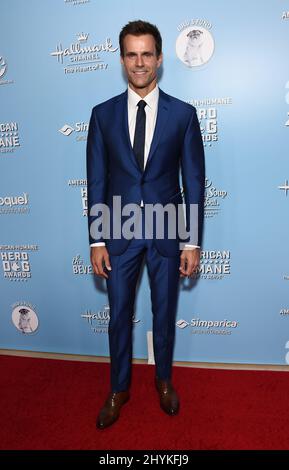 Cameron Mathison arriving to the American Humane Hero Dog Awards at Beverly Hilton Hotel on October 05, 2019 in Beverly Hills, CA.USA. Stock Photo