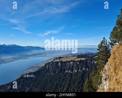 Aerial shot of a lake Thun and a forested mountains under a blue sky Stock Photo