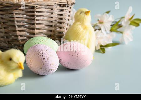 Easter celebration with pastel eggs, wicker basket, yellow chick, blossom spring flowers for Happy holiday. Close up. Greeting card with copy space Stock Photo