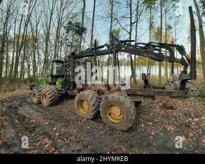 forwarder in the forest, Germany Stock Photo