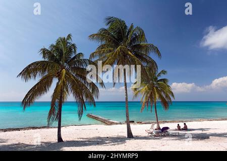 Sandy beach beach with palm trees, jetty and guests, hotel, bungalow resort, Maria la Gorda, Pinar del Rio province, Cuba, Caribbean Stock Photo