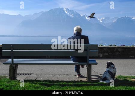 Man with dog sitting on a park bench on the lake promenade, Montreux, Switzerland Stock Photo