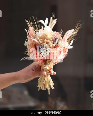 Dried Plants on Pink Pastel Background Close Up Stock Image - Image of  color, bundle: 267643607