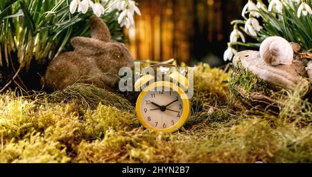 Easter greeting. Yellow alarm clock and bunny rabbit on moss in spring forest, beautiful blossom white snowdrops flowers in wild forest at background. Stock Photo