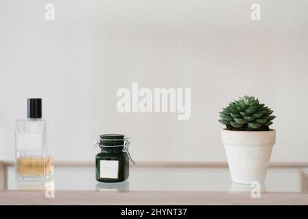 A succulent in a white ceramic pot and a candle in the decor of the room on the shelf Stock Photo