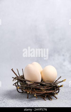 Three wooden Easter eggs for creativity and coloring in nest made of branches on light gray textured background with copy space. Preparation for Stock Photo