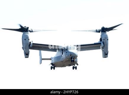 Gotemba, Japan. 15th Mar, 2022. US Marine's MV-22 Osprey approaches the Higashi Fuji exercise area in Gotemba for a Japan-US Joint military exercise in Shizuoka prefecture, west of Tokyo on Tuesday, March 15, 2022. Japan's 1st Amphibious Rapid Deployment Brigade and US 31st Marine Expeditionary Unit opened their joint heliborne exercise for the press. Credit: Yoshio Tsunoda/AFLO/Alamy Live News Stock Photo