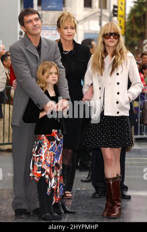 Antonio Banderas honoured with a Star on the Hollywood Walk Of Fame. Accompanied by Melanie Griffith, Stella Banderas & Dakota Johnson. Picture: UK Press Stock Photo