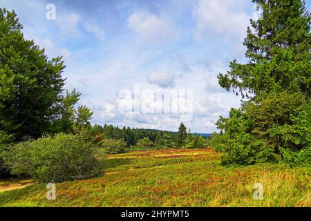 Landscape protection area Neuer Hagen in the Sauerland Stock Photo