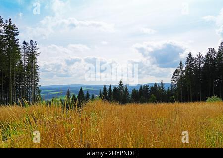 Landscape protection area Neuer Hagen in the Sauerland Stock Photo