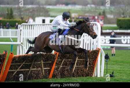 Constitution Hill ridden by Nico de Boinville wins the Ladbrokes ...