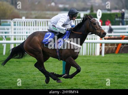 Constitution Hill ridden by Nico de Boinville on their way to winning ...