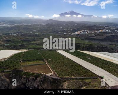Aerial view banana tree plantation ad top of mount Teide on Tenerife near Garachico, Canary islands, Spain in winter Stock Photo