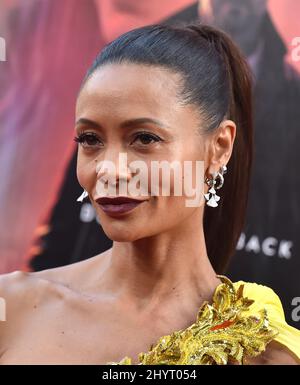 Thandie Newton, Thandiwe Newton at the Los Angeles premiere of