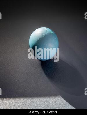 Still-life of a dyed egg on a dark  background. Stock Photo