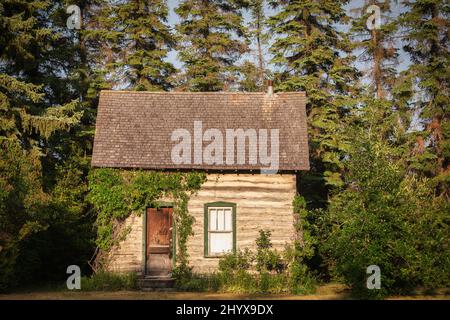 A preserved abandoned tiny house made of logs and mud with green vine growing up the wall in a rural summer landscape Stock Photo