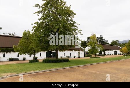 Classic Cars at The Franschhoek Motor Museum South Africa Stock Photo