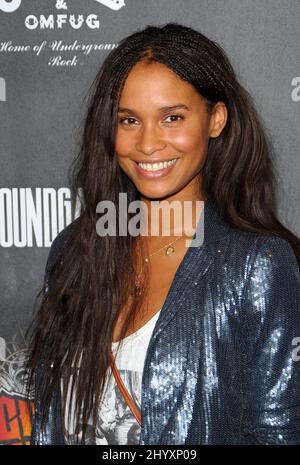 joy bryant hair