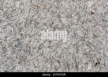 Pressed wood texture high detailed wooden background photo Stock Photo