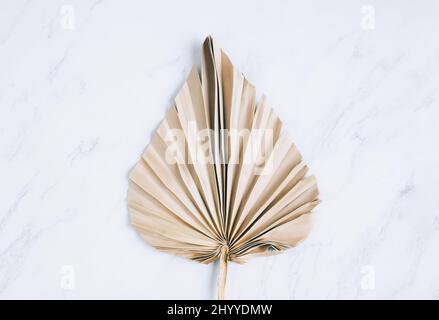 Dry palm leaf on white marble background. Close up of dried fan shaped tropical palm tree leaf. Natural background Stock Photo