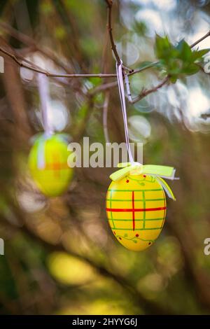 Easter eggs hanging on a branches outdoor. Stock Photo