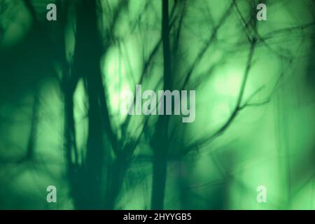 Abstract background created by shadows on a colored facade of a house. Stock Photo