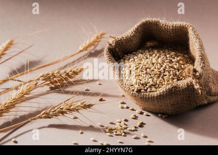 Organic uncooked dried barley cereal grain in a burlap bag with ears of wheat on beige background. Healthy and diet food concept. Stock Photo