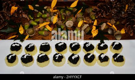 Caviar on potato with sour cream cocktail hors d'oeuvre on tray decorated with pine cones and sunflower petals. Stock Photo