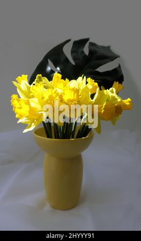 little radiant sun spot shining on yellow daffodils in a yellow vase Stock Photo