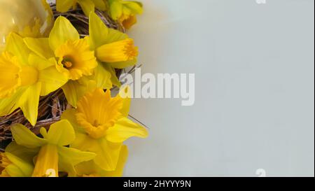 row of yellow daffodils and easter egg space for greeting card copyspace Stock Photo