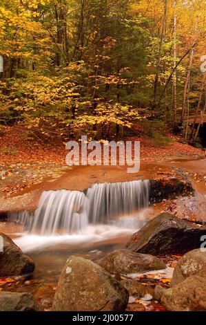 A waterfall surrounded by fall foliage Stock Photo